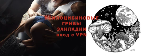 дживик Россошь
