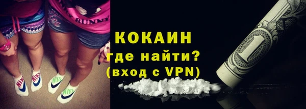 дживик Россошь