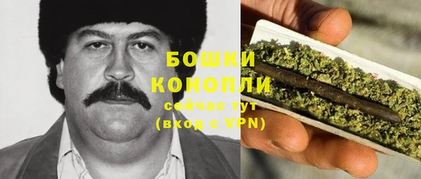 дживик Россошь